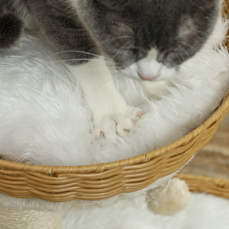 PawHut Arranhador para Gatos Árvore de Escalada Altura 75,5 cm com 2 Caminhas em Rattan Postes para Arranhar Almofadas Laváveis Bege