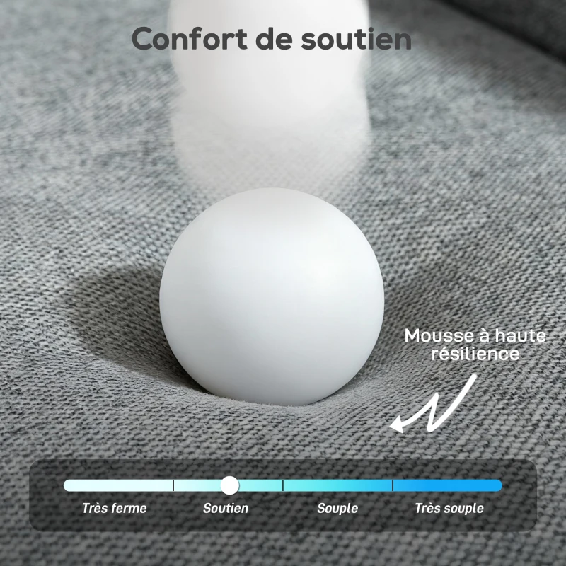 HOMCOM Canapé 2 places, canapé de salon en velours égyptien, 2 oreillers inclus, poche latérale, 136 x 81 x 90 cm, gris