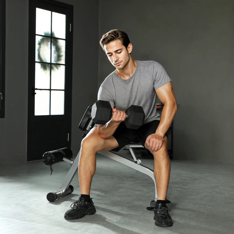 SPORTNOW Panca Romana Regolabile e Pieghevole Multifunzione, Capacità 150 kg, Argento