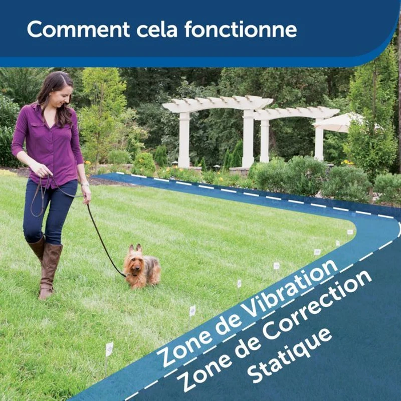 PetSafe - Systeme de Clôture Anti-Fugue pour Chien avec 150 metres de fil - 5 niveaux réglables de stimulation statique