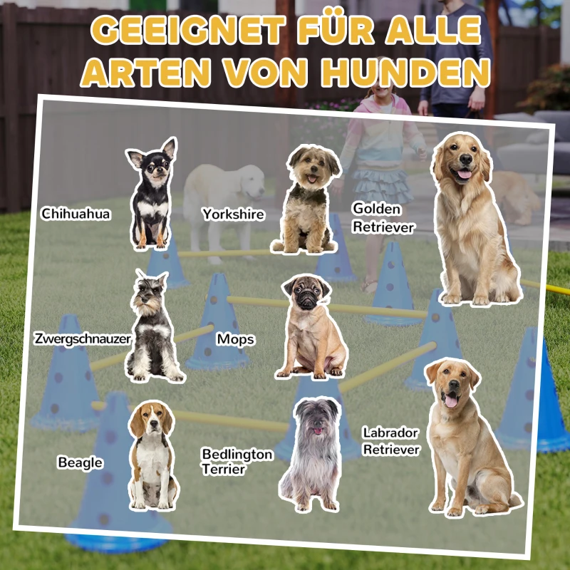 PawHut Agility Set Honden 6-delige agility-uitrusting voor hondentraining steekhordeset met 12 kegels, 6 horden, draagtas