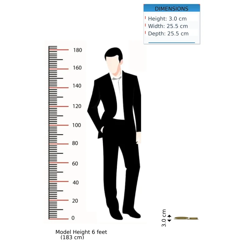 Dahlia 12-Piece Dinner Set for 4 with Smooth Timeless Finish, Ceramic Serveware Ideal for Everyday Use, 25.5L x 25.5W x 3H cm, Olive Green