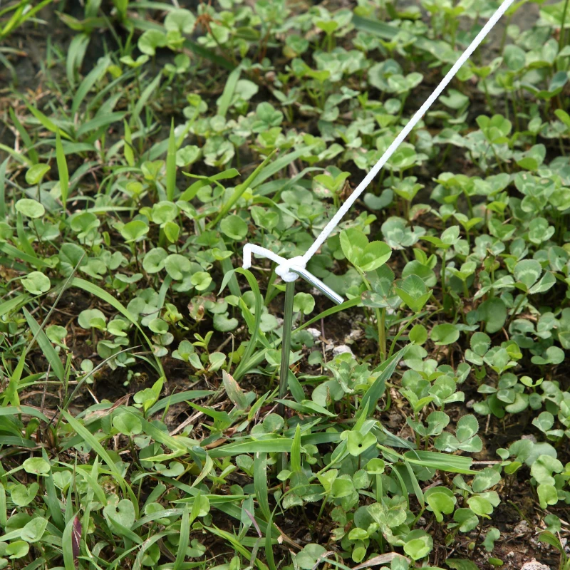 Outsunny Estufa Tipo Túnel 595x300x200cm Estufa de Jardim Grande com 12 Janelas e Porta Enrolável com Zíper para Cultivo de Plantas Branco