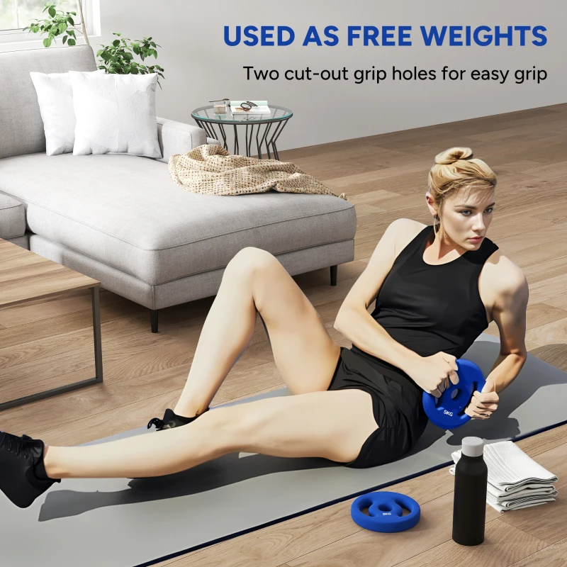 SPORTNOW 2 x 5kg Weight Plates with Easy-Grip Handles, Standard Weights Set with 2.5cm Holes, for Home, Gym, Weight Lifting and Strength Training