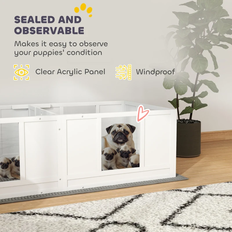 Wybieg dla psów z przezroczystymi panelami, 164 x 80 cm