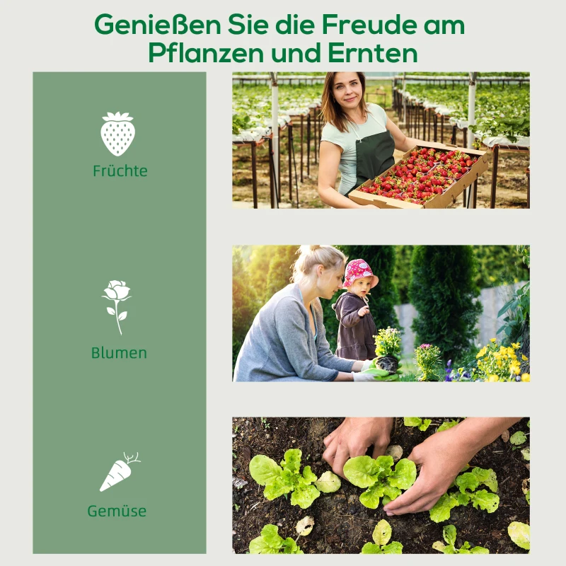 Szklarnia foliowa z regałem, roleta, łatwy montaż, 3 poziomy