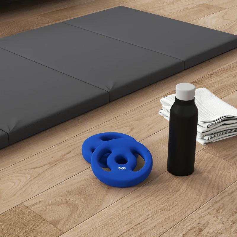 SPORTNOW 2 x 5kg Weight Plates with Easy-Grip Handles, Standard Weights Set with 2.5cm Holes, for Home, Gym, Weight Lifting and Strength Training