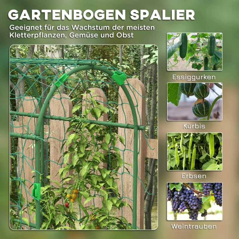 Regulator do roślin, regulowane kratki wsporcze, siatka