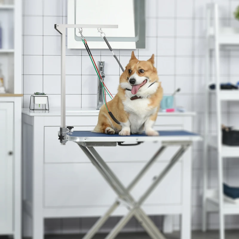 PawHut ramię do pielęgnacji zwierząt, Składane ramię do pielęgnacji z zaciskiem, Regulowane ramię do fryzjerstwa psów z uchwytem na biodra dla psów średniej wielkości, Stal nierdzewna, Srebrny