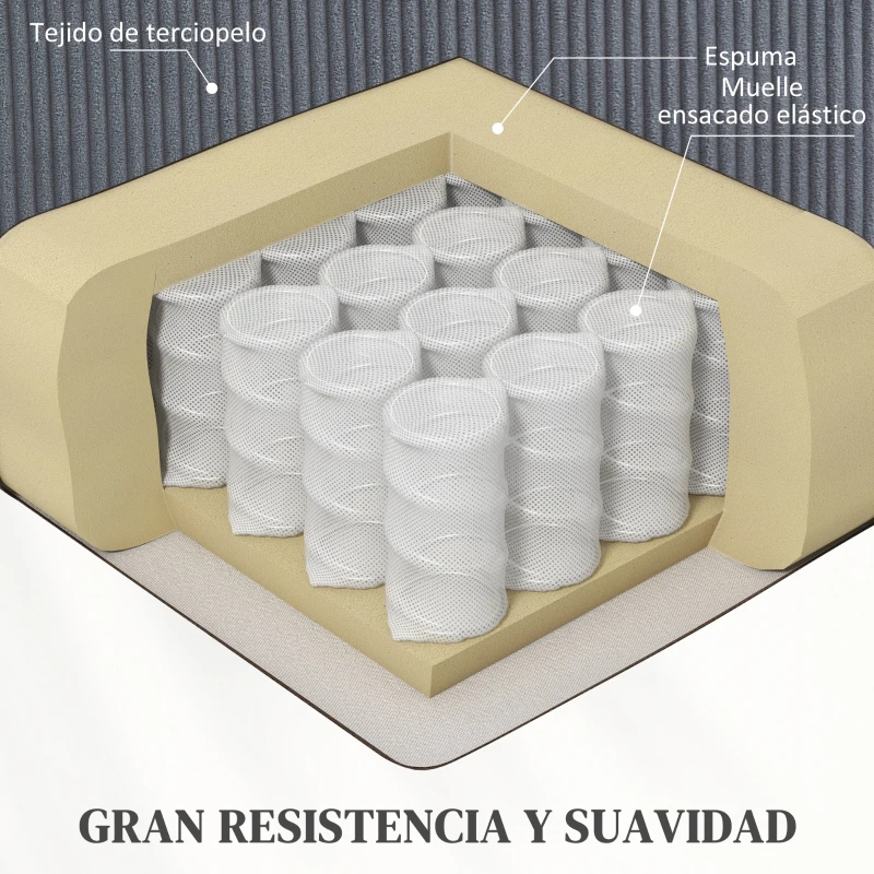 HOMCOM Sillón Relax Reclinable Eléctrico Levanta Personas con Mando a Distancia Puerto USB y Bolsillos Laterales Gris Oscuro