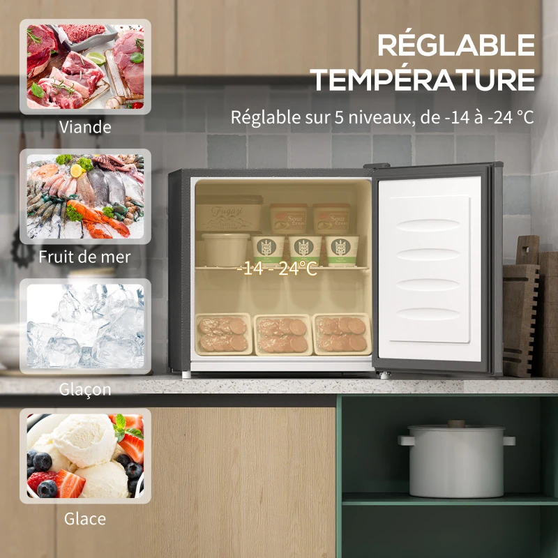 HOMCOM Mini congélateur Température Réglable de -14 à -24°C Compact 35L - Porte réversible Classe E - 47x44,2x48,8cm - Gris