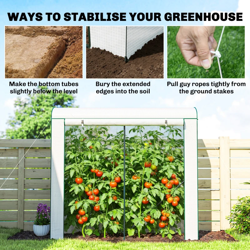 Outsunny Mini Greenhouse, Garden Tomato Growhouse with Roll-Up Door and 2 Mesh Windows, PE Cover, 200 x 75 x 188 cm, White