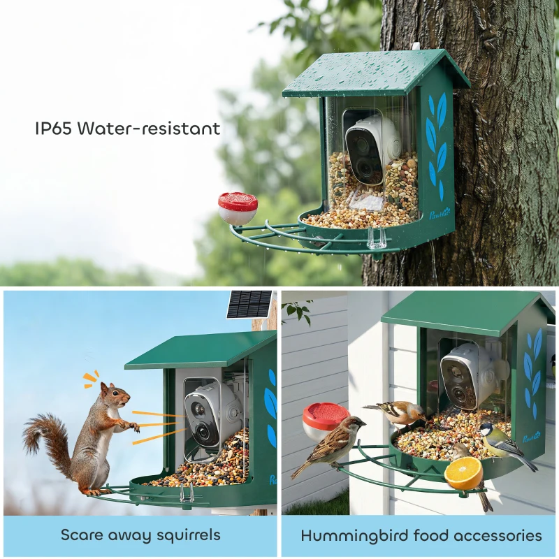 PawHut Smart Bird Feeder Camera 2K HD with AI Identifies 16,000+ Species, 2K HD Auto Capture Video, APP Instant Notifications