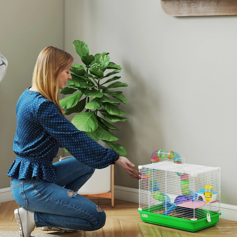 PawHut Cage pour Hamster avec Tunnel Coupelle Abreuvoir Maisonnette Rampe Roue d'Exercice Plateau Amovible 46x30x37 cm Vert