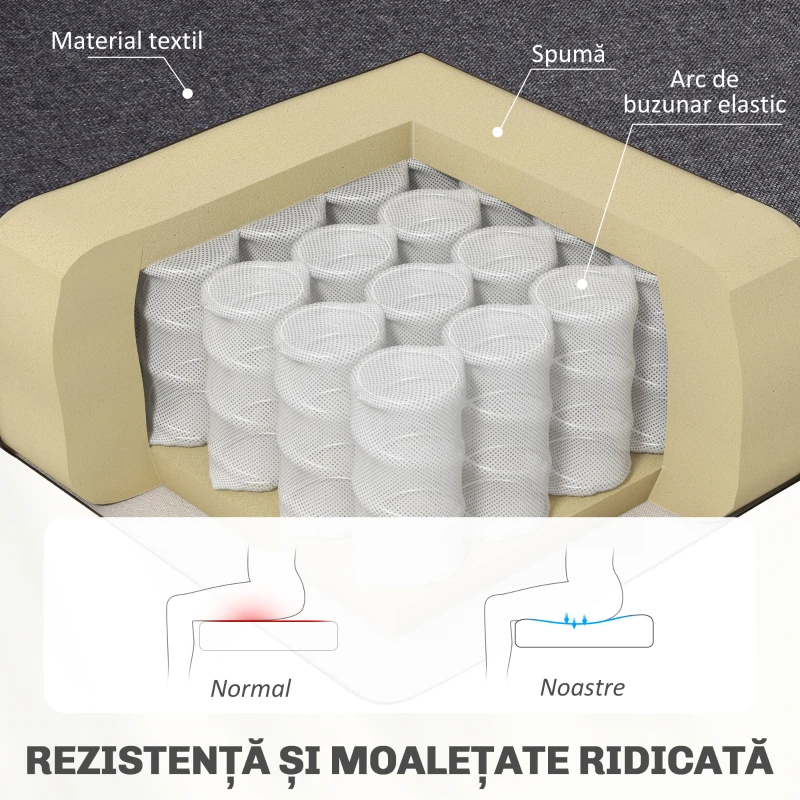 HOMCOM Canapea 2 Locuri din Material Textil fără Brațe cu Cusături, Canapea Compactă Modernă cu Picioare din Lemn de Cauciuc pentru Living, 117x56.5x77 cm, Gri Închis