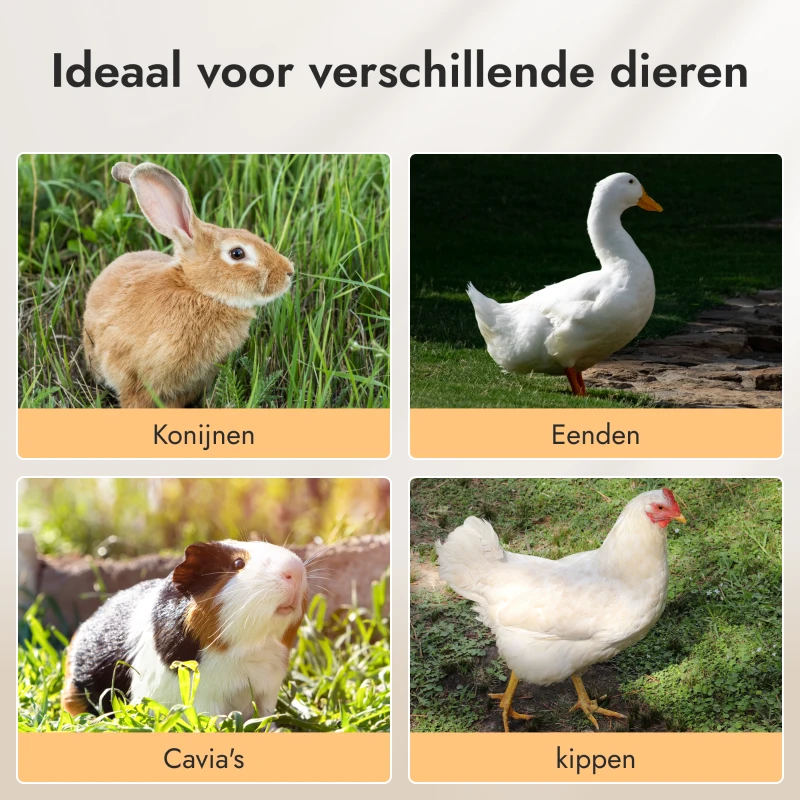 Pawhut Konijnenhok Tweevoudige Waterdichte Anti-slip Verhoogd Afsluitbare Deur Buiten Hout Metaal Bruin(m-7)