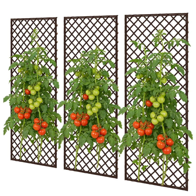 Outsunny Garden Trellis, 8mm Wicker Pergola, Flat Top, Natural Finish