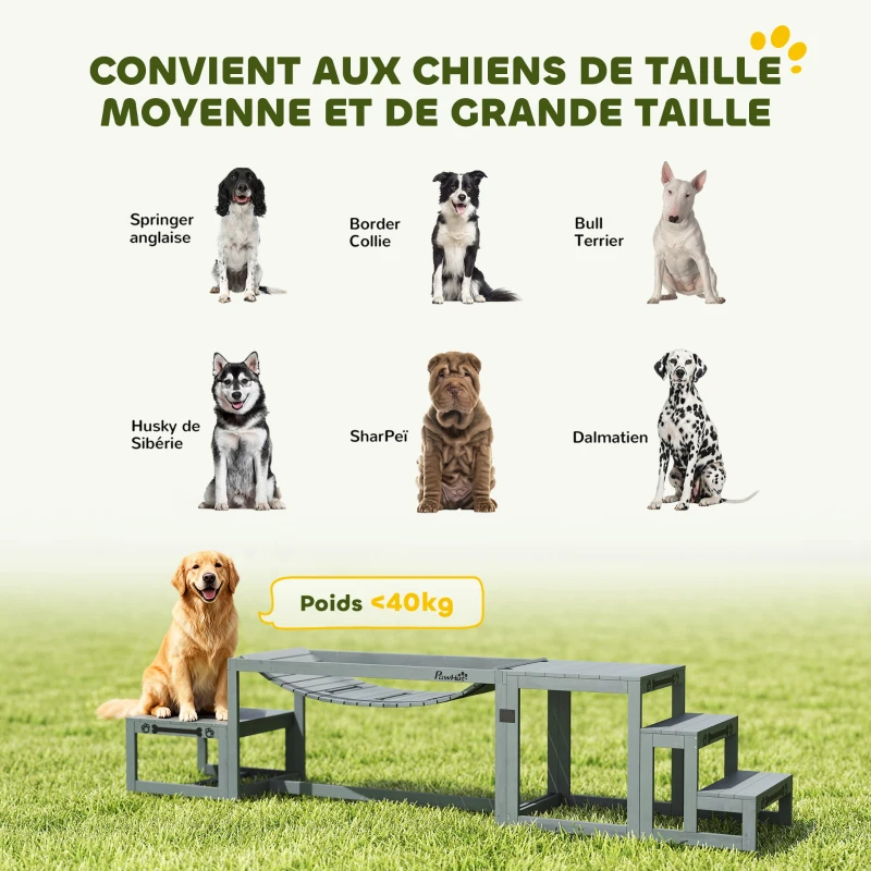 PawHut Équipements d'entraînement agilité pour chien kit d'équipement d'agilité pour chien 3 pièces en bois massif gris