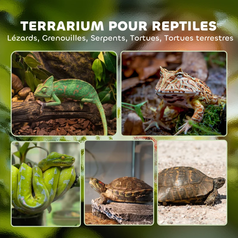 PawHut Boîte à reptiles, boîte d'élevage de reptiles, fermeture sécurisée par rotation, ventilation frontale, 50x30x35cm, noir
