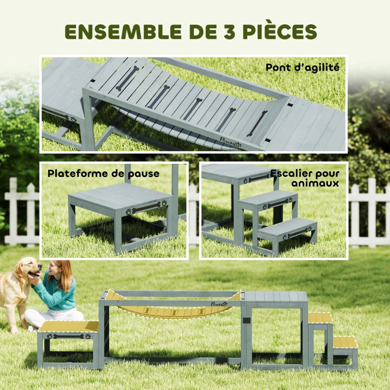 PawHut Équipements d'entraînement agilité pour chien kit d'équipement d'agilité pour chien 3 pièces en bois massif gris