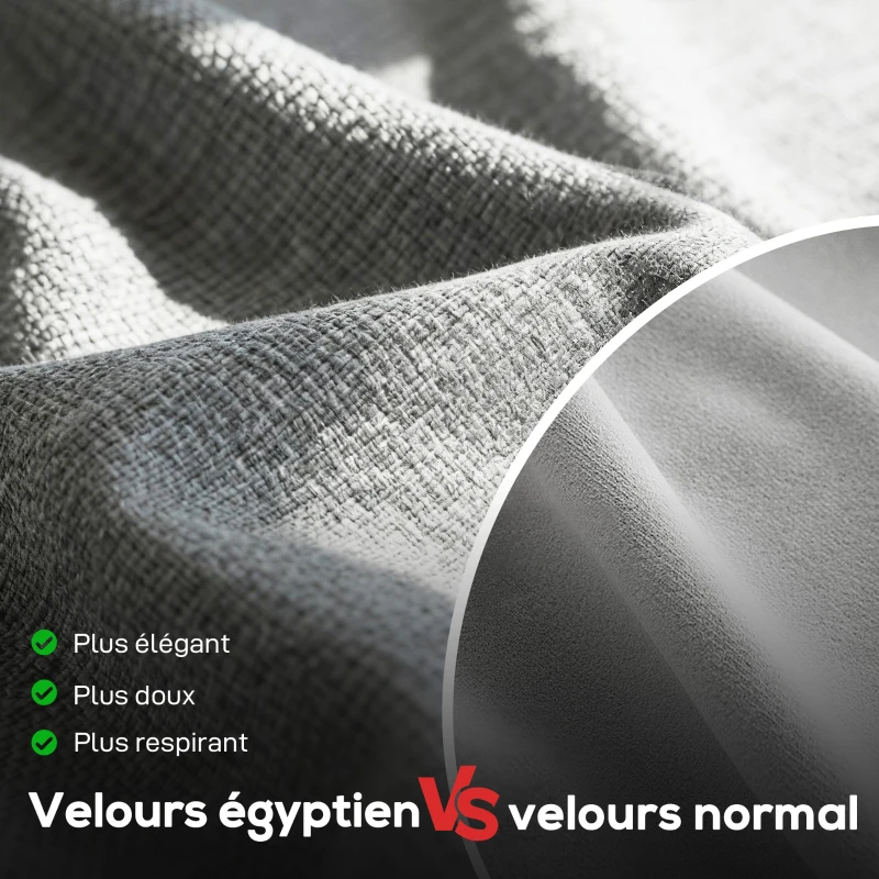 HOMCOM Canapé 2 places, canapé de salon en velours égyptien, 2 oreillers inclus, poche latérale, 136 x 81 x 90 cm, gris(m-6)