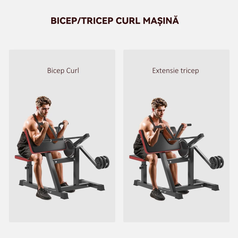 SPORTNOW Bancă Preacher Curl 2-în-1 Aparat pentru Bicepși cu Scaun și Suport pentru Coate Ajustabil