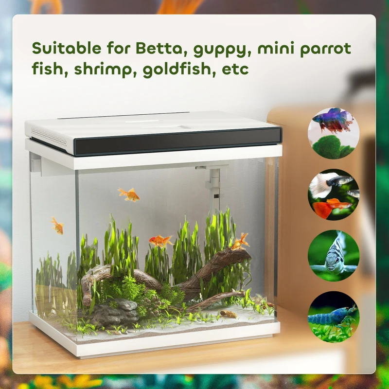 Akwarium 26L z filtrem, oświetlenie LED, 38 x 26 x 38 cm