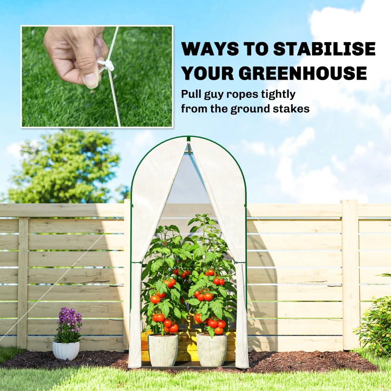 Outsunny Mini Greenhouse, Portable Green House with Roll-Up Door, PE Base, Small Greenhouse, 100 x 100 x 195 cm, White