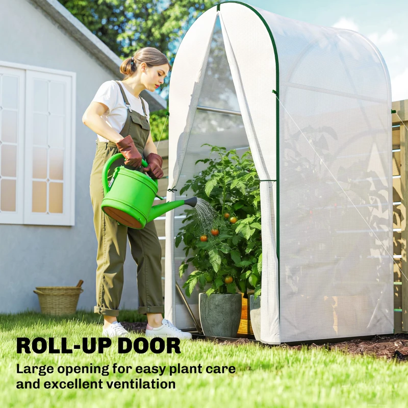 Outsunny Mini Greenhouse, Portable Green House with Roll-Up Door, PE Base, Small Greenhouse, 100 x 100 x 195 cm, White