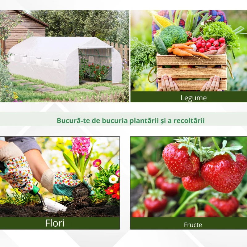 Outsunny Sera pentru Gradina cu 8 Ferestre si Usa(m-4)