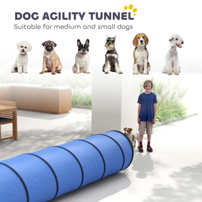 PawHut Tunel Agility dla psów 300 x 50 cm, tunel dla psów z 4 kotwami gruntowymi, torbą transportową, tunel do zabawy dla małych i średnich psów, niebieski