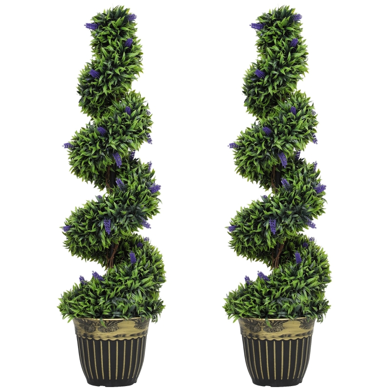 groe monstera pflanze kaufen Monstera Deliciosa Fensterblatt Zimmerpflanze 17cm 55cm kaufen