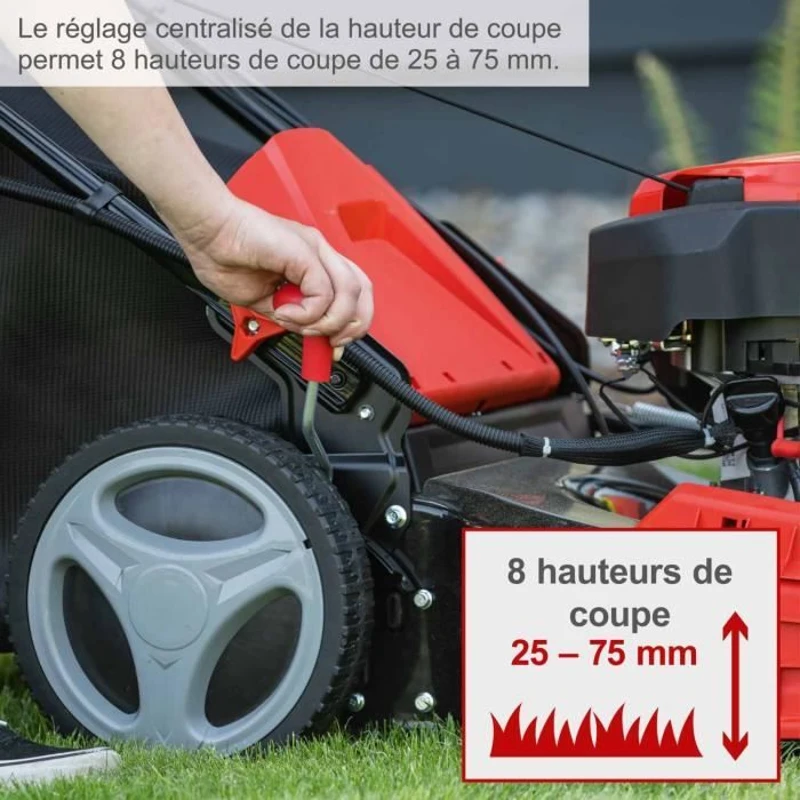 Tondeuse thermique autotractée - démarrage électrique - MS150-46E - 46 cm - 150 CC - SCHEPPACH