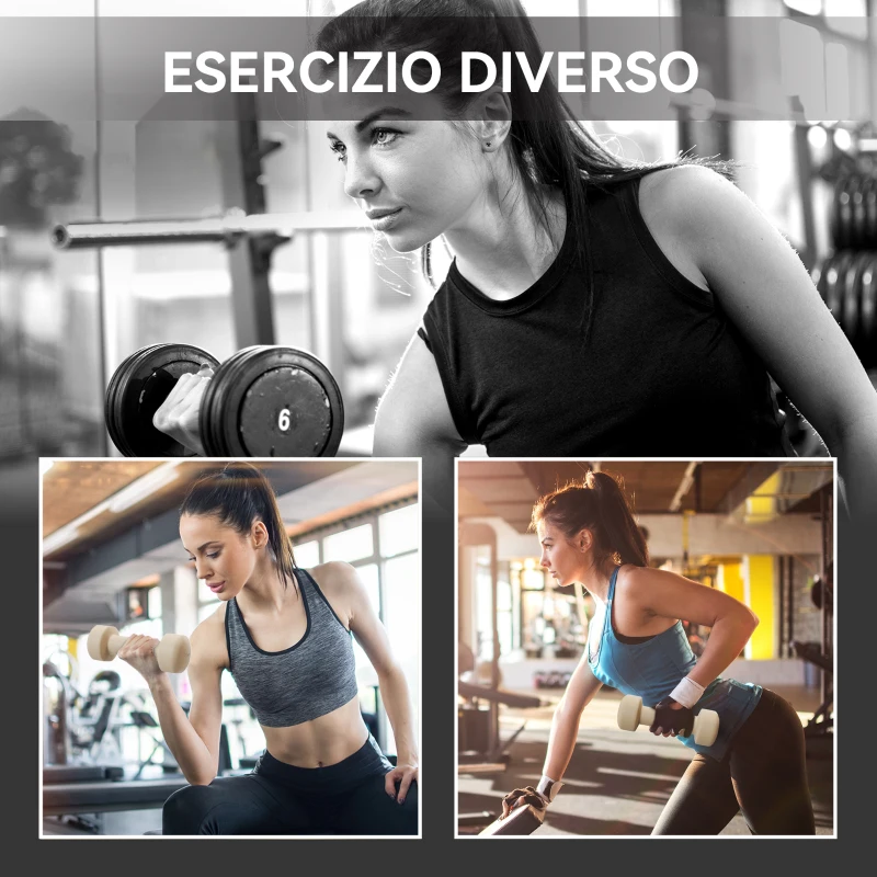 HOMCOM Set Manubri 10 kg con Valigetta Porta Pesi, in Metallo, PU e Plastica, 41x30x8 cm, Multicolore