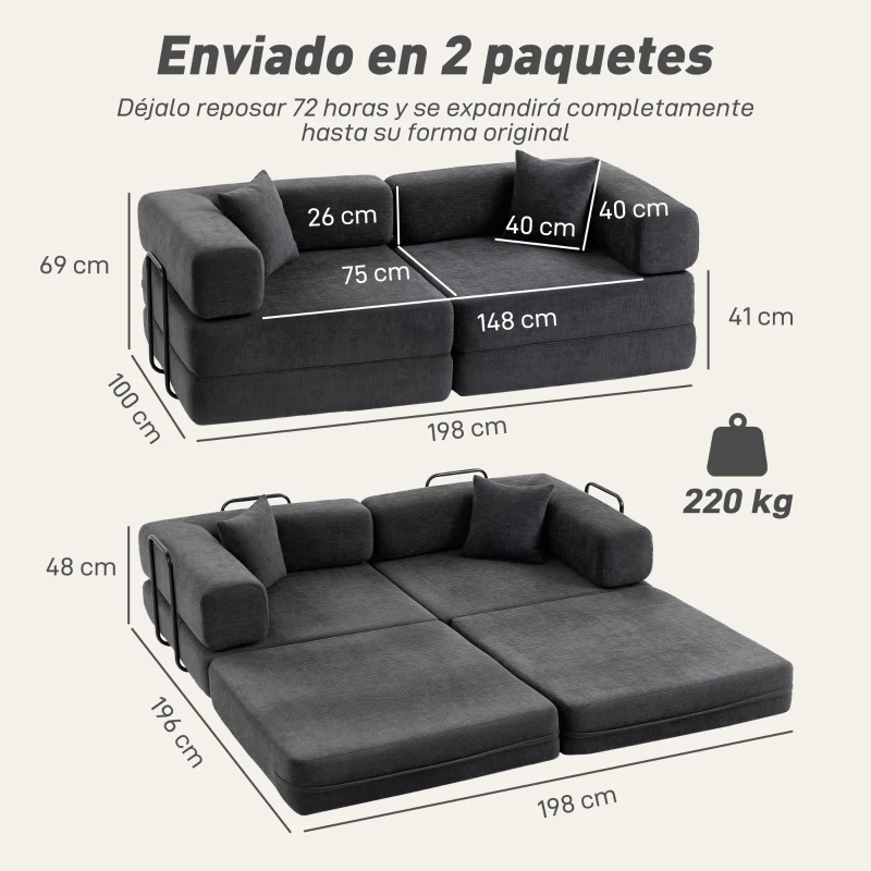 HOMCOM Sofá Cama de 2 Plazas Plegable Tapizado en Chenilla con Acolchado Grueso Reposabrazos Anchos 2 Almohadas Gris Oscuro