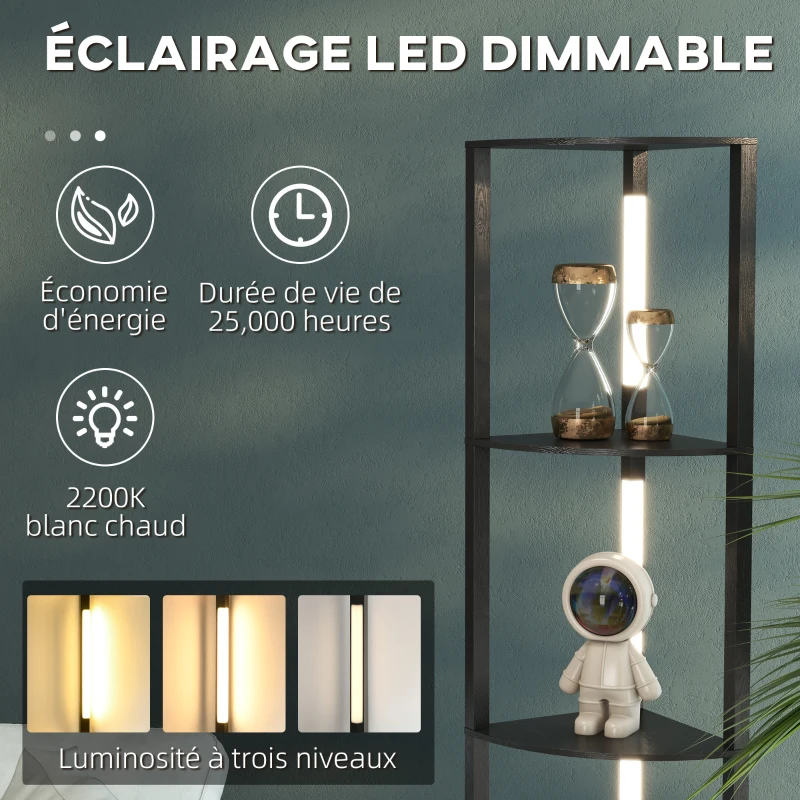 HOMCOM Lampadaire sur pied salon, lampadaire avec étagères d'angle à 4 niveaux, lampe LED dimmable, 41x29,5x163,5cm, noir