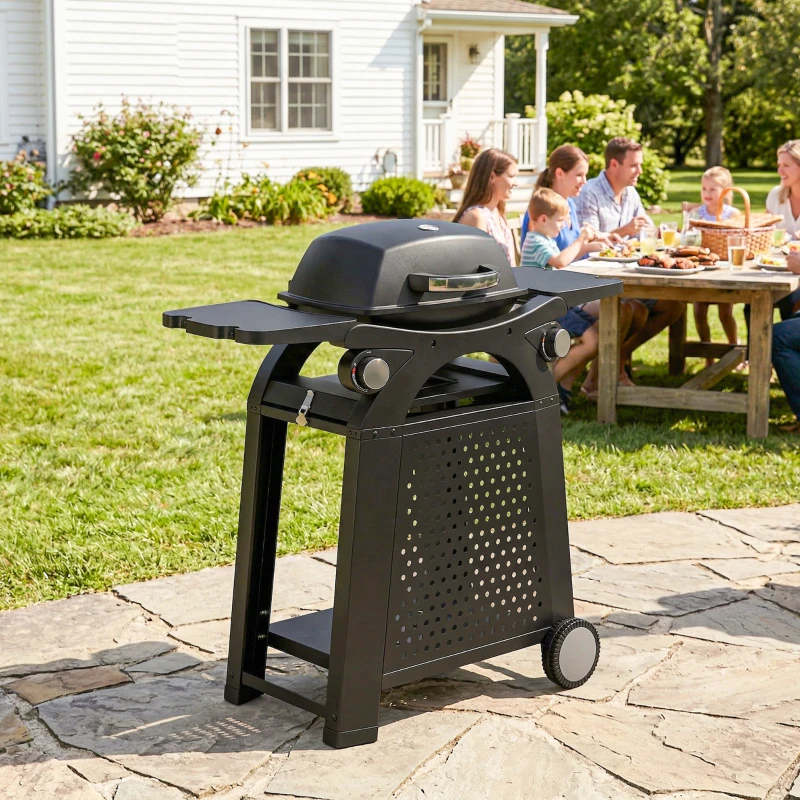 Outsunny 2 Burner Gas Grill with 2 Side Tables, 3.8 KW Barbecue Grill with Cast Iron Grates, 2-in-1 Tabletop BBQ with Wheels
