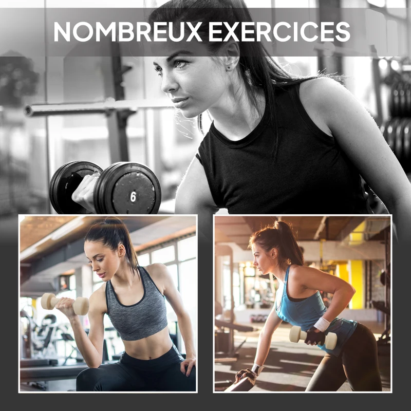 HOMCOM Ensemble d'haltères total 10 Kg - paires de 0,5/1/1,5/2 Kg avec mallette - entraînement musculaire - métal PU multicolore