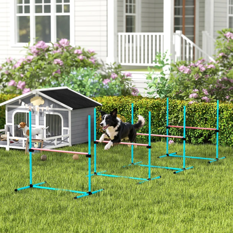 PawHut Set Agility per Cani 4 pezzi regolabile con 4 ostacoli, 99x65x94 cm, Azzurro chiaro