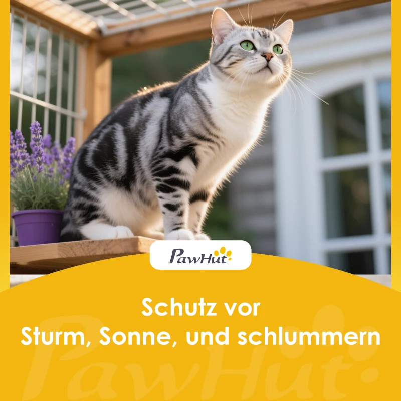 PawHut Maison pour chat extérieure, refuge pour chat d'extérieur, étanche, toit rabattable, bois d'épicéa, 80 x 93 x 95, Gris