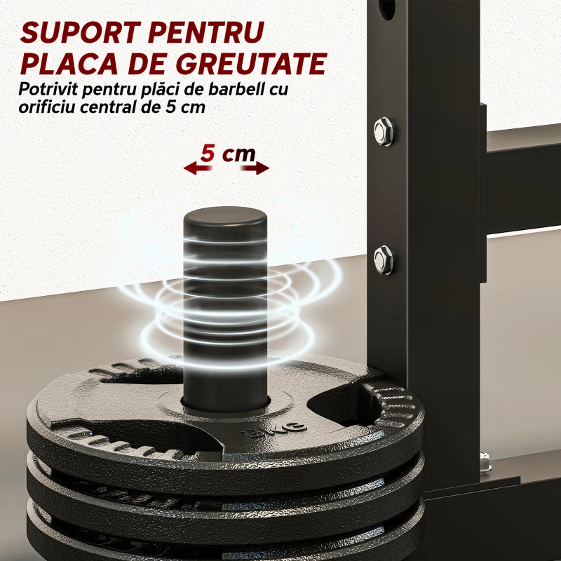 SPORTNOW Suport Reglabil pentru Haltere cu 2 Niveluri și Suport pentru Discuri, 110x91x145 cm, Negru