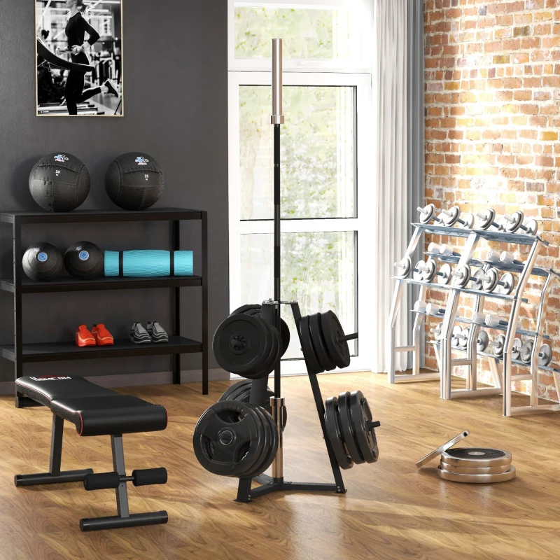 SPORTNOW Support de poids pour plaques, barres et haltères -  rack de rangement pour plaques de poids capacité max. 300 kg