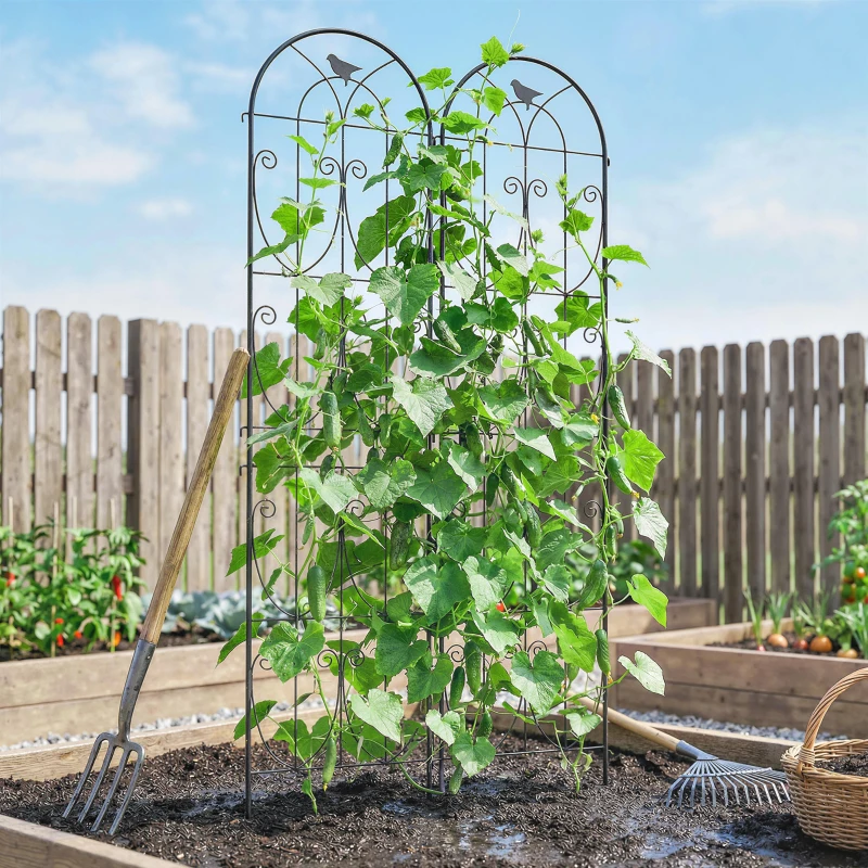 Outsunny Soporte para Plantas Trepadoras con Motivos de Aves, Pack de 2 Enrejados de Jardín para Verduras, Vides, Flores, Metal, 50 x 220 cm, Negro