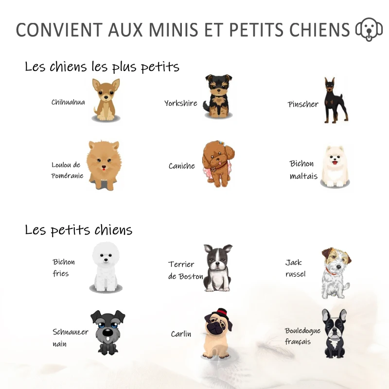 PawHut Méridienne canapé design pour chien chat avec coffre de rangement sur pied 57 x 34 x 36 cm noir zébré