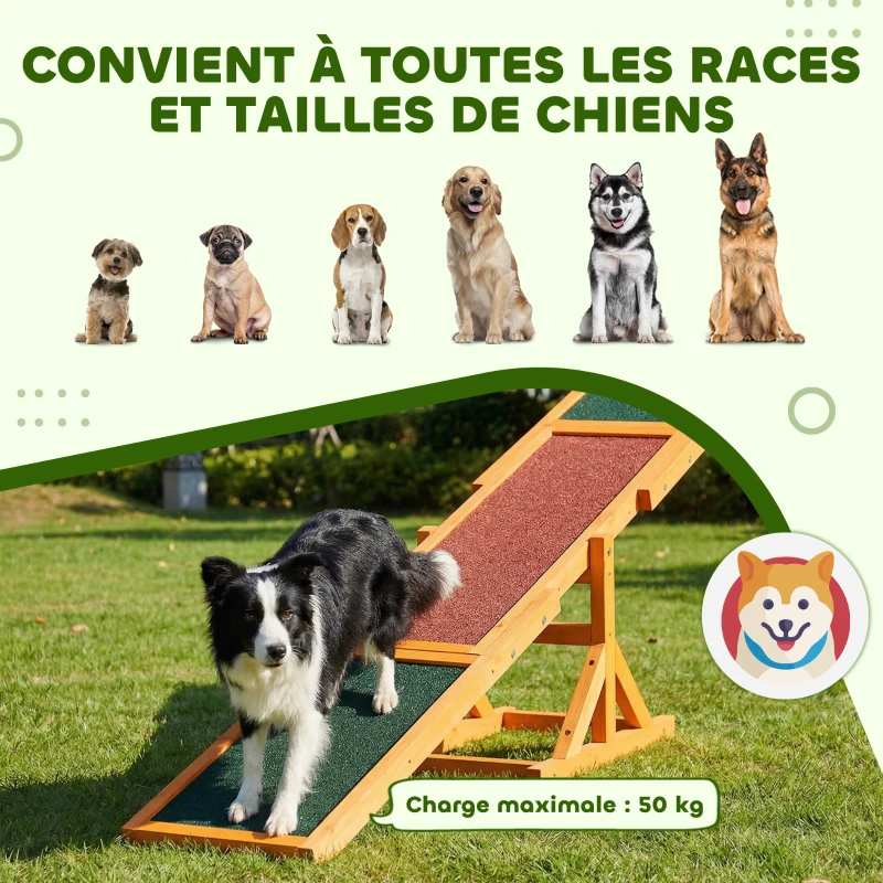 PawHut Agility sport pour chien bascule - bascule pour chien - équipement entrainement chien - bois pré-huilé feutre bitumé antidérapant brique vert