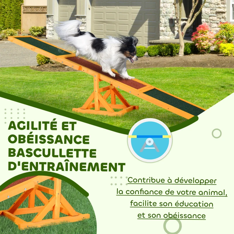 PawHut Agility sport pour chien bascule - bascule pour chien - équipement entrainement chien - bois pré-huilé feutre bitumé antidérapant brique vert