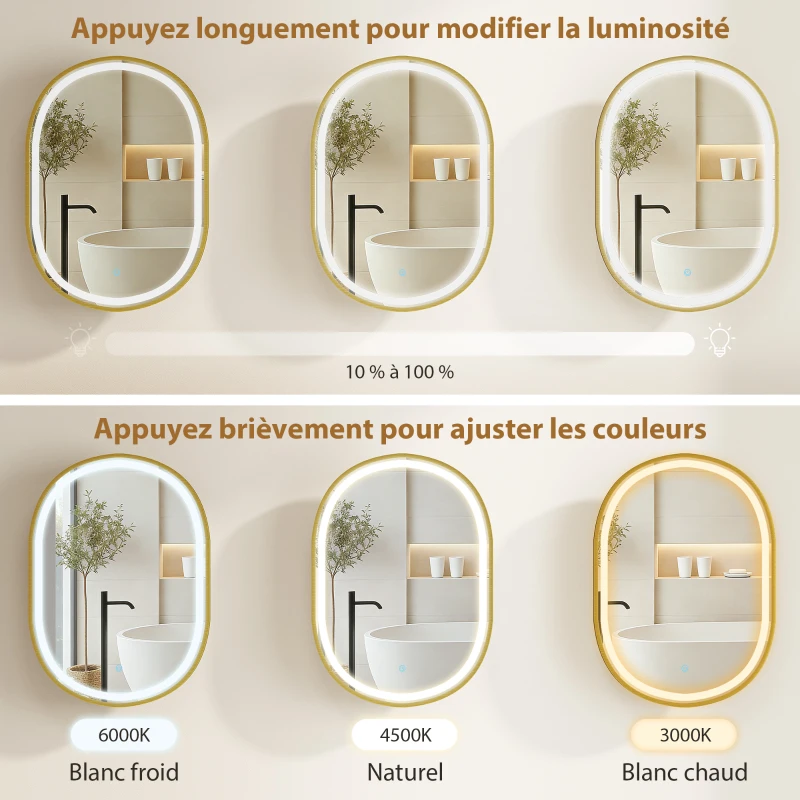 HOMCOM Armoire murale salle de bain avec miroir et éclairage LED, porte ovale, anti-buée, 50x14,5x70cm, doré