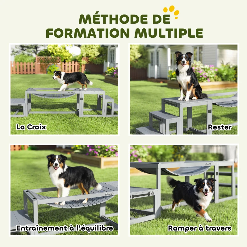 PawHut Équipements d'entraînement agilité pour chien kit d'équipement d'agilité pour chien 3 pièces en bois massif gris