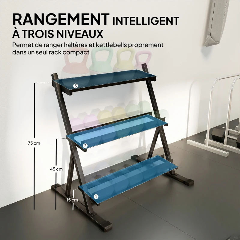SPORTNOW Support pour haltères à 3 niveaux, support de poids réglable en acier pour haltères, kettlebells, noir