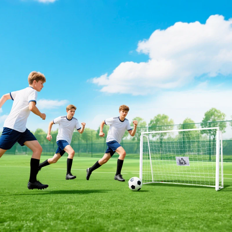 HOMCOM But de football - cage de foot - but d'entrainement dim. 186L x 62l x 123H cm - châssis métal filet PE - piquets & outil inclus - blanc